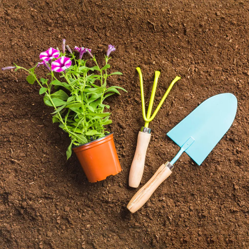 Jardinería